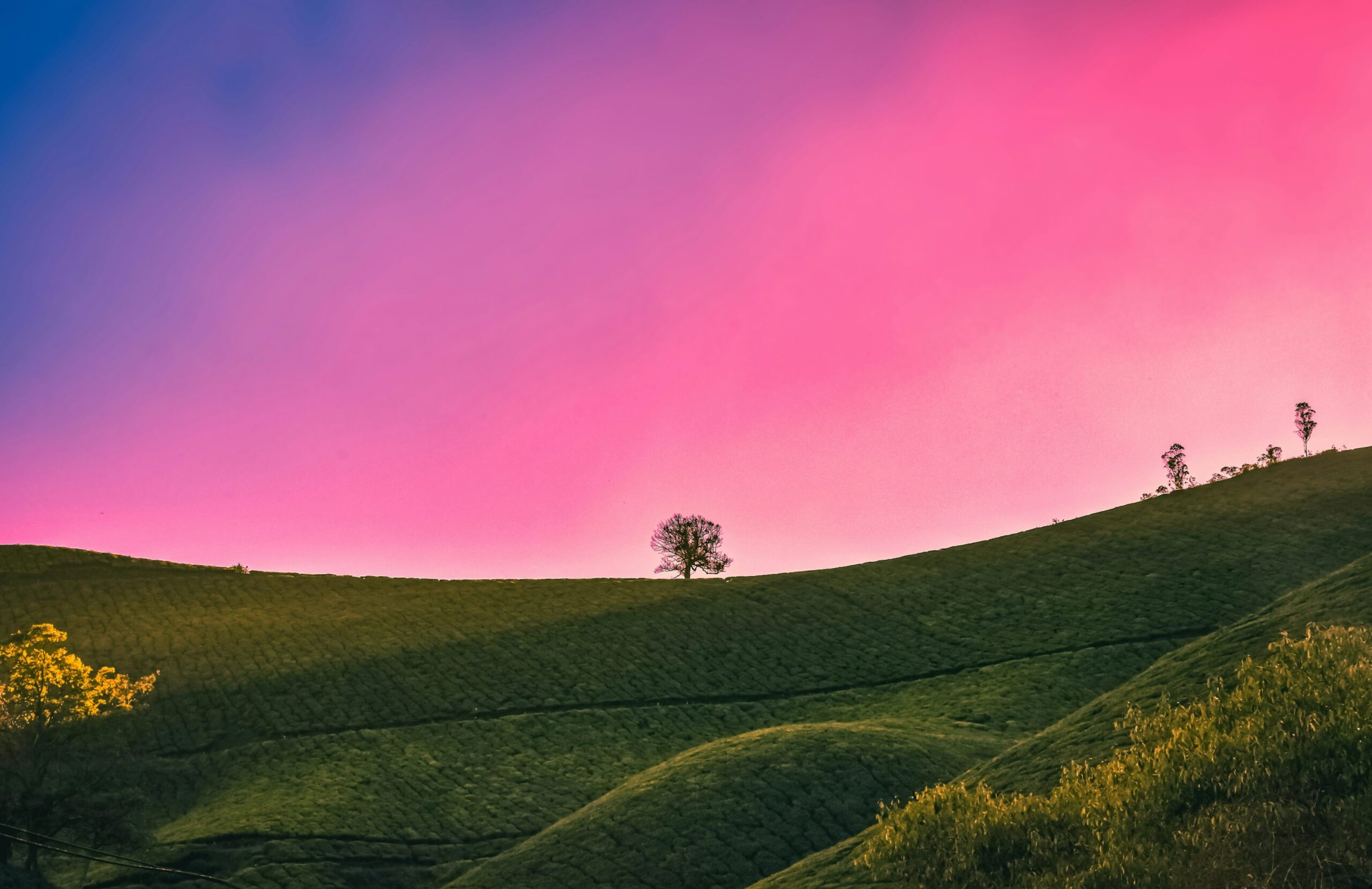 KJ’s What Happened? (4/18/26)