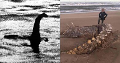 Montauk ‘MONSTERS’, Plum Island, HYBRID MYSTERIES (2026)