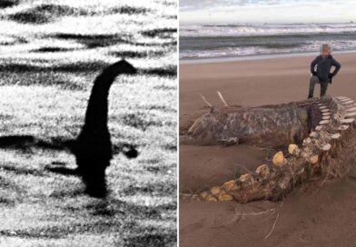 Montauk ‘MONSTERS’, Plum Island, HYBRID MYSTERIES (2026)