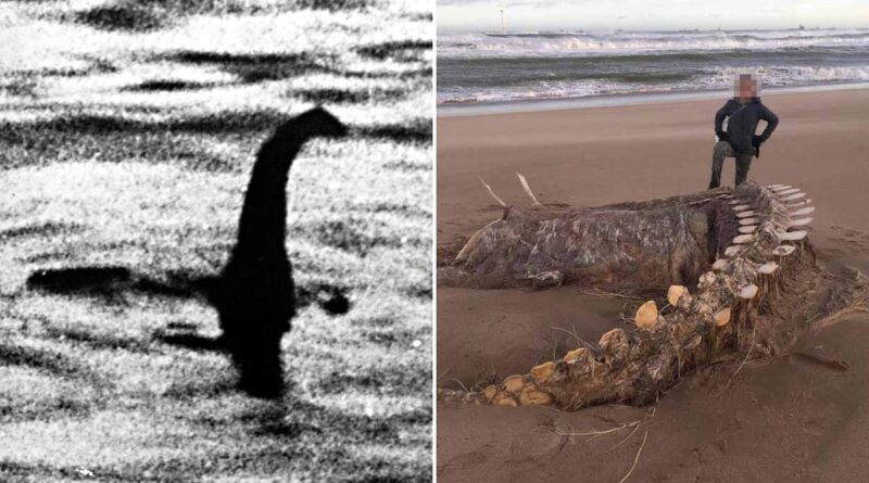 Montauk ‘MONSTERS’, Plum Island, HYBRID MYSTERIES (2026)